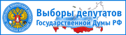 http://www.cikrf.ru/banners/duma_2011/index.html